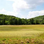 Hilltop With Valley View *