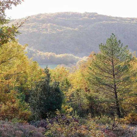 Hilltop With Valley View *
