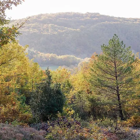 Hilltop With Valley View *